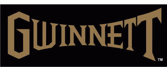 gwinnett gladiators 2003-pres wordmark logo iron on transfers for T-shirts
